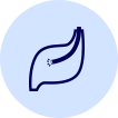 胃カメラ検査